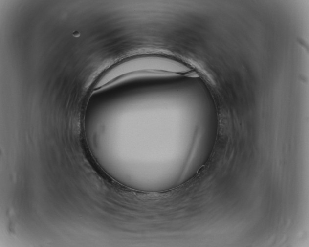 X0000097510015200803071835