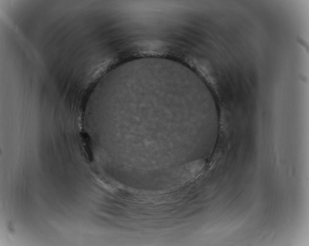 X0000097510017200803071835