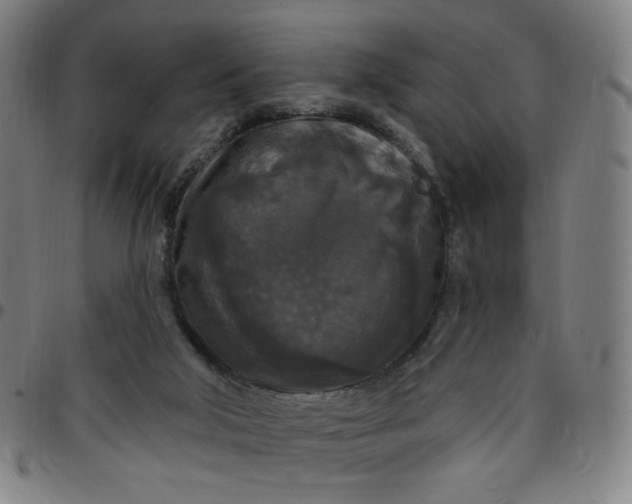 X0000097510018200803071835