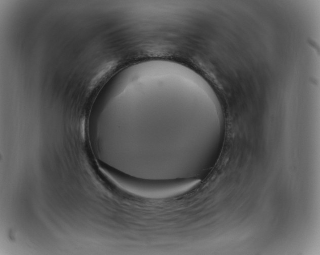 X0000097510019200803071835