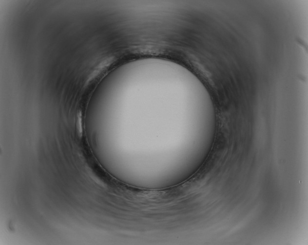 X0000097510020200803071835