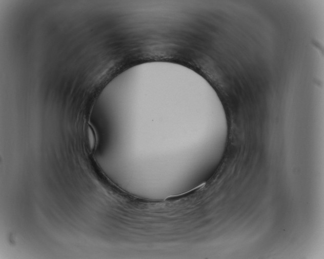 X0000097510021200803071835