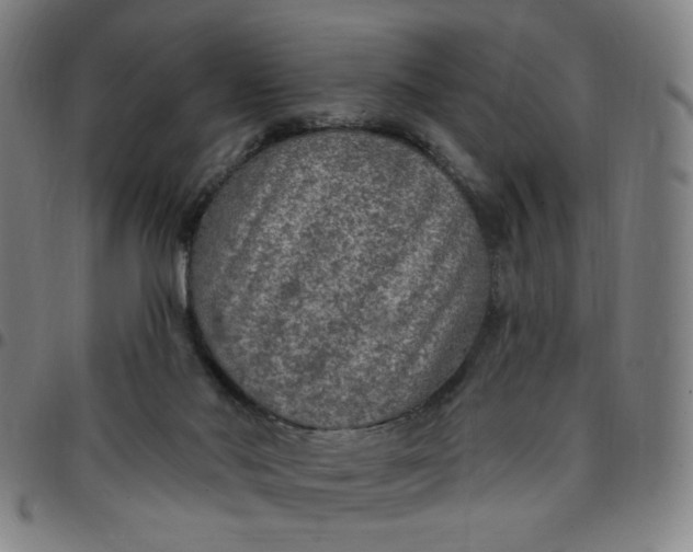 X0000097510022200803071835