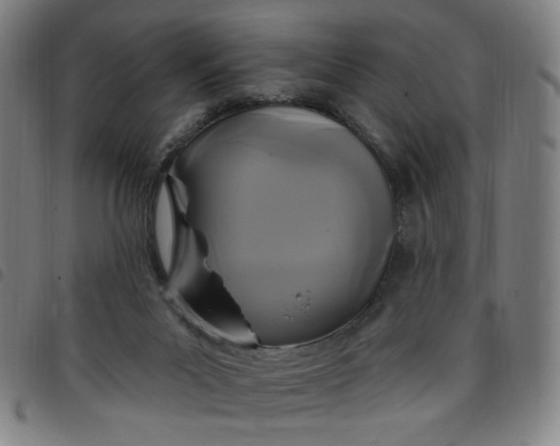 X0000097510023200803071835