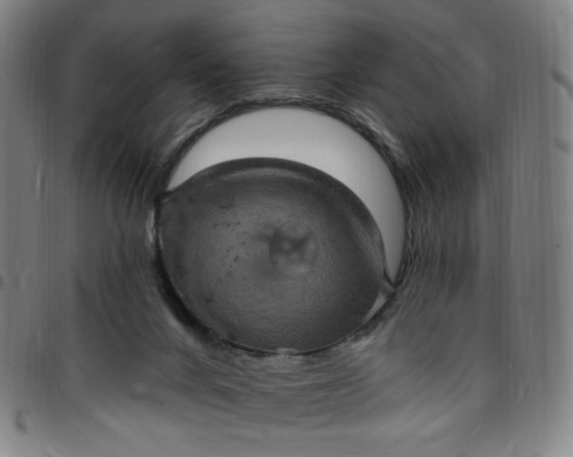 X0000097510024200803071835