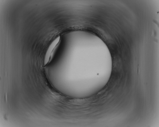 X0000097510025200803071835