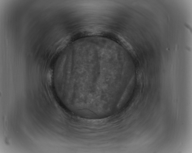 X0000097510026200803071835