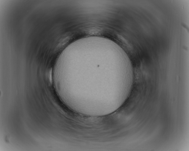 X0000097510028200803071835