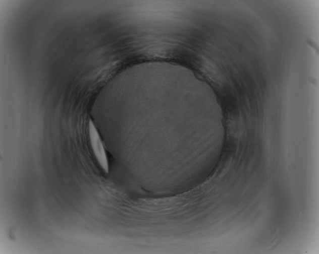 X0000097510029200803071835