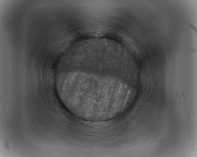 X0000097510030200803071835