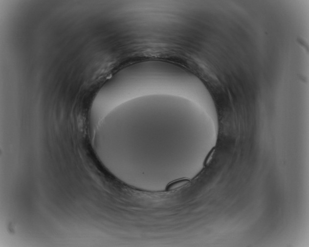 X0000097510031200803071835