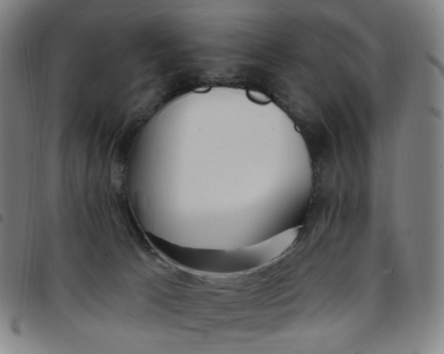 X0000097510033200803071835