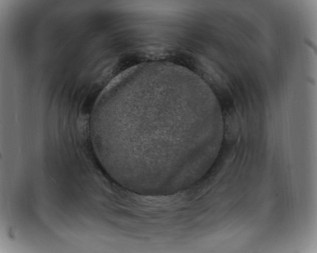 X0000097510034200803071835