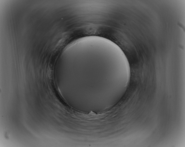 X0000097510035200803071834