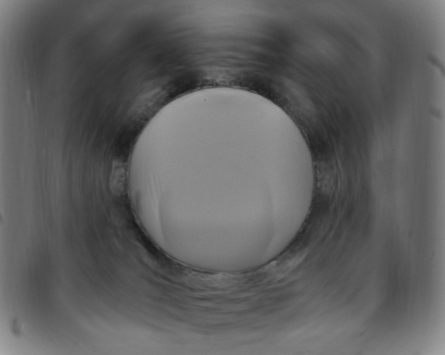 X0000097510036200803071834