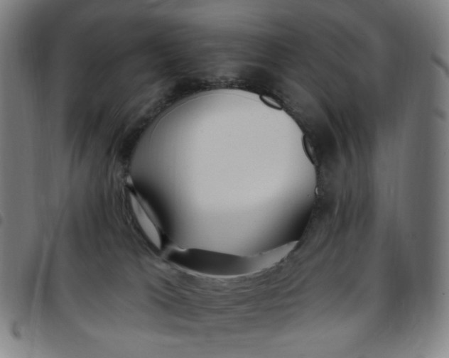 X0000097510037200803071834