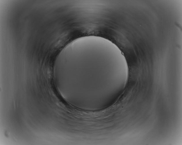 X0000097510039200803071834