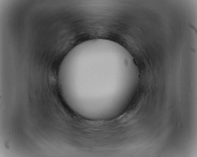 X0000097510040200803071834