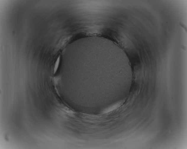 X0000097510041200803071834