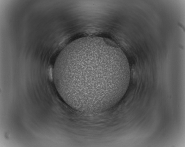 X0000097510042200803071834