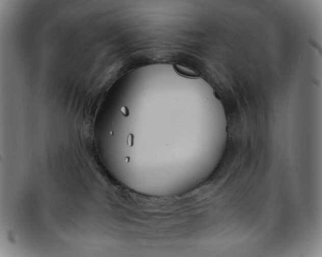 X0000097510044200803071834