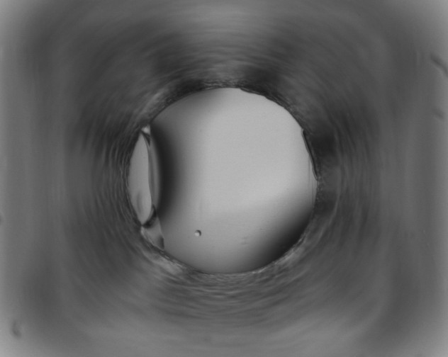 X0000097510045200803071834