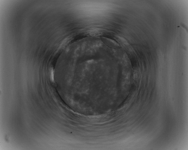 X0000097510046200803071834