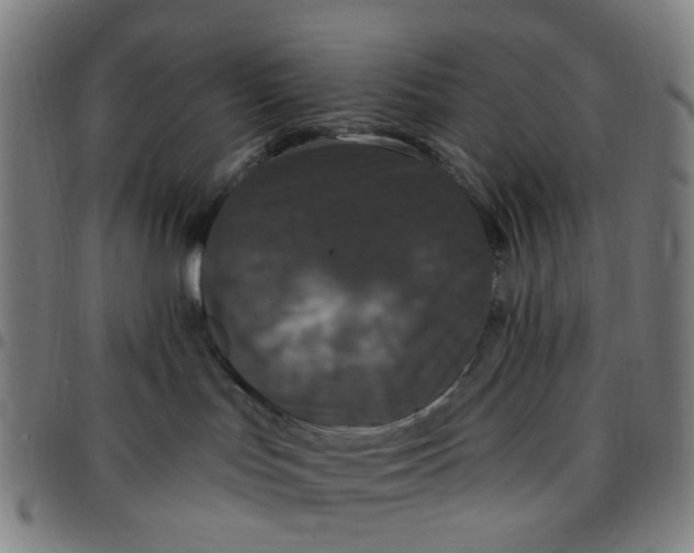 X0000097510047200803071834