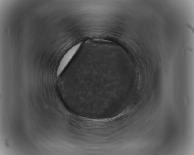 X0000097510048200803071834