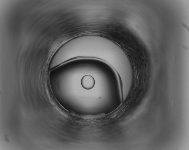 X0000097510049200803071834