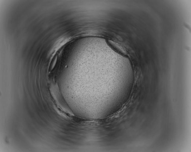 X0000097510050200803071834