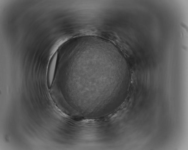 X0000097510052200803071834