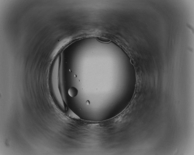 X0000097510054200803071834