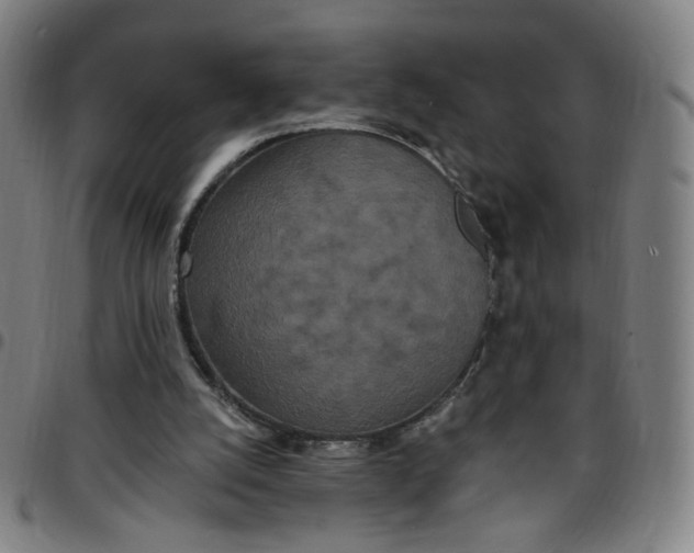 X0000097510056200803071834