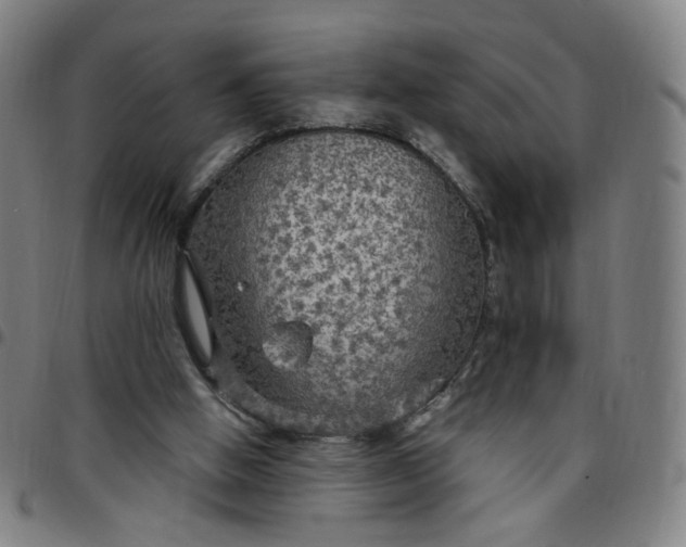 X0000097510058200803071834