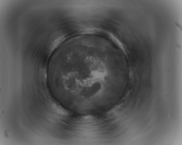 X0000097510059200803071834