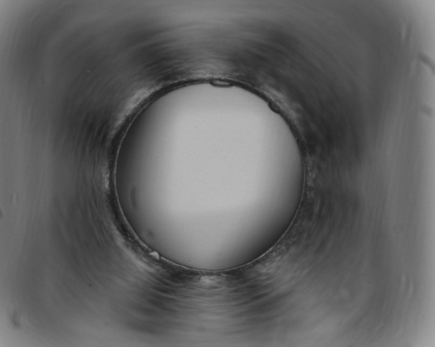 X0000097510060200803071834