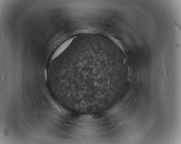 X0000097510061200803071834