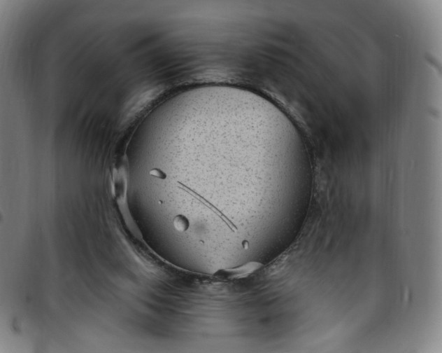 X0000097510062200803071834