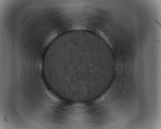 X0000097510063200803071834