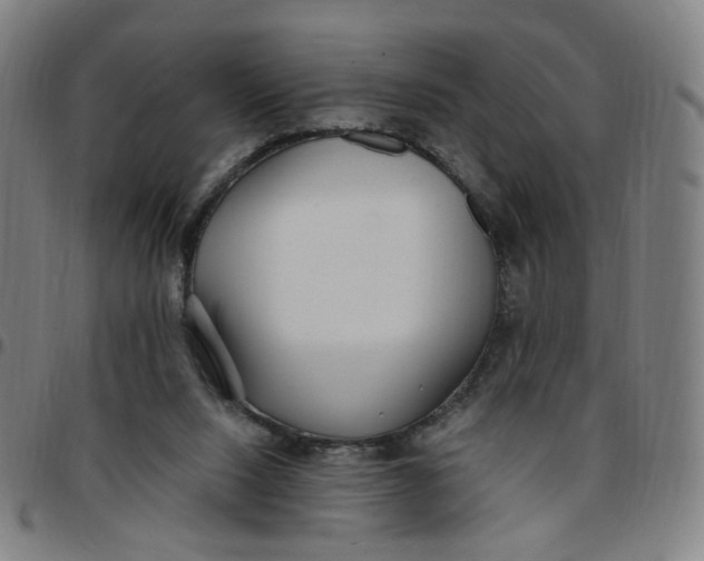 X0000097510064200803071834