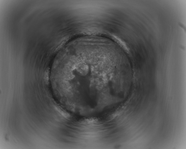 X0000097510065200803071834