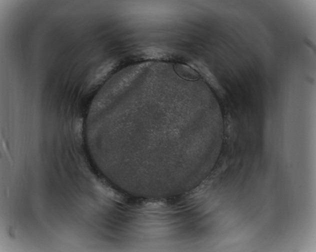 X0000097510066200803071834