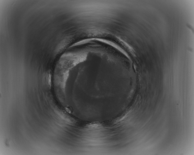 X0000097510067200803071834