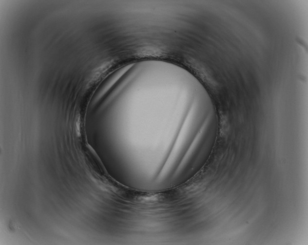 X0000097510068200803071834