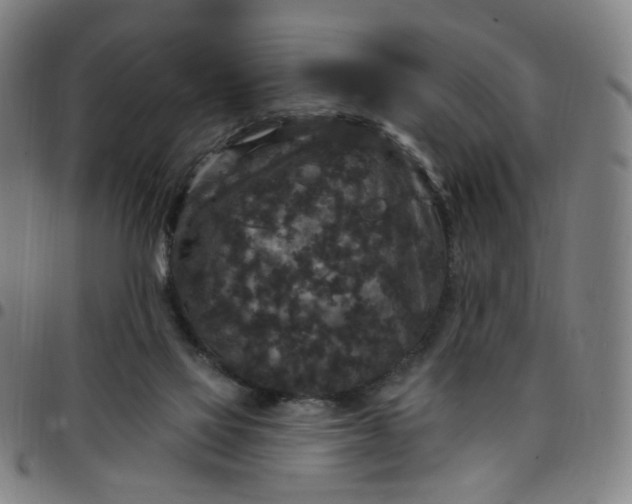 X0000097510069200803071834