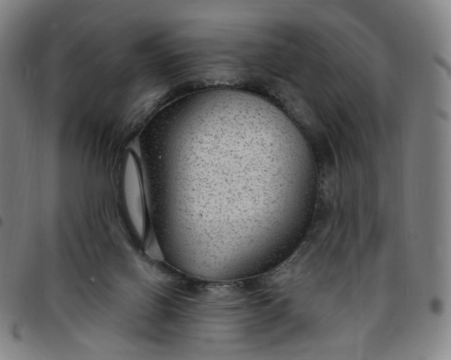 X0000097510070200803071834