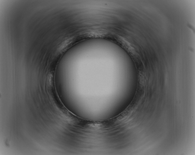 X0000097510071200803071834