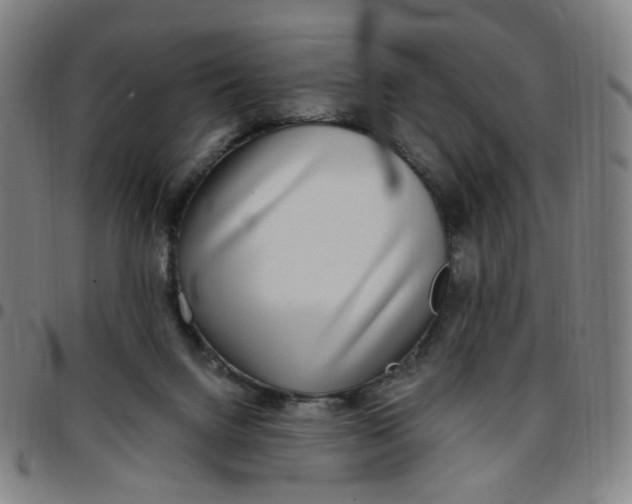 X0000097510072200803071834