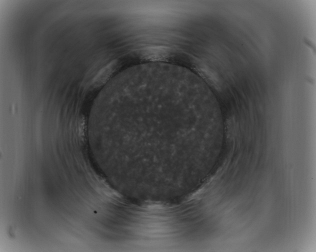 X0000097510073200803071834